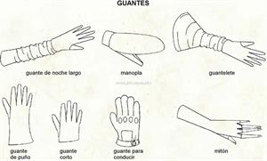 Guante (Diccionario visual)