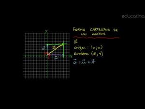 Forma cartesiana de un vector (parte 1)
