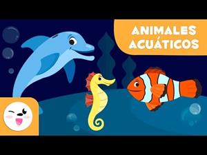 Los animales acuáticos (vocabulario para niños)