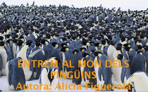 Els pingüins
