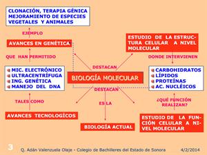 Biología molecular (Educarchile)