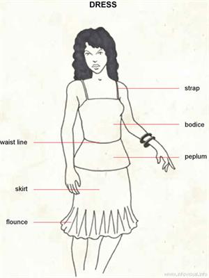 Dress  (Visual Dictionary)