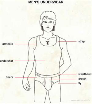 Men underwear  (Visual Dictionary)
