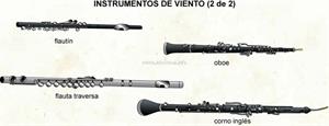 Instrumentos de viento - instrumentos de putyas (Diccionario visual)