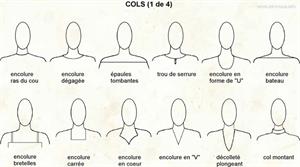 Col (Dictionnaire Visuel)