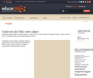Carnívoros de Chile: zorro culpeo (Educarchile)