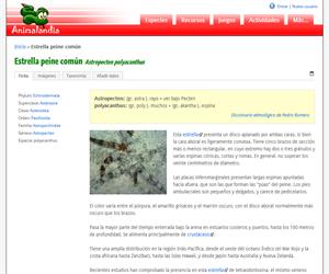 Estrella peine común (Astropecten polyacanthus)