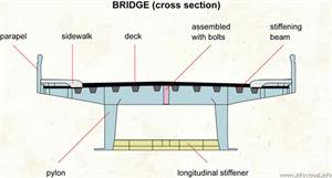 Bridge (cross section)  (Visual Dictionary)