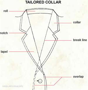 Tailored collar  (Visual Dictionary)