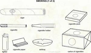 Smoking  (Visual Dictionary)