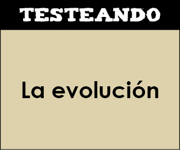 La evolución. 4º ESO - Biología (Testeando)