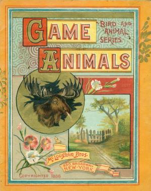 Game animals (International Children's Digital Library)