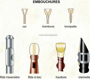 Embouchures (Dictionnaire Visuel)