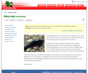 Babosa negra (Arion hortensis)
