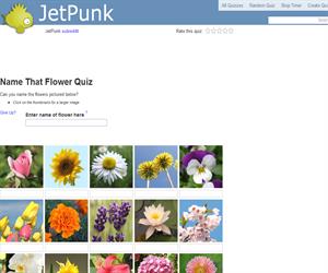 Name That Flower Quiz