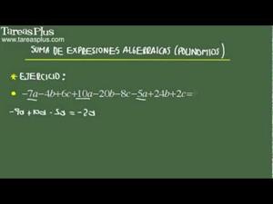 Suma de expresiones algebraicas problema 4 de 15 (Tareas Plus)