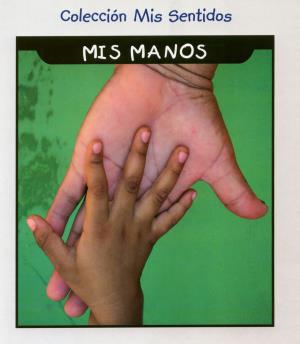 My hands (International Children's Digital Library)