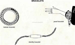 Bracelets  (Visual Dictionary)