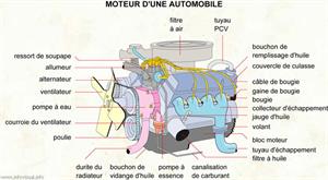 Moteur d'une automobile (Dictionnaire Visuel)