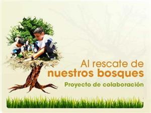 Proyecto Al rescate de nuestros bosques, reforestación