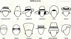 Hats 2  (Visual Dictionary)