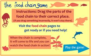 Kid's Corner - Food Chain Game. Juego digital cadena alimentaria