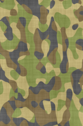 Camouflage Techniques