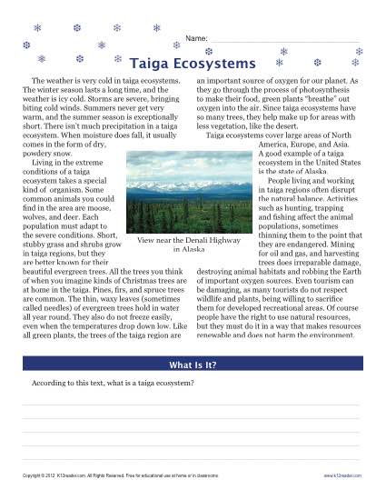 Taiga Ecosystems