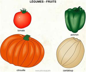 Légumes (Dictionnaire Visuel)