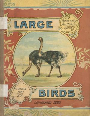 Large birds (International Children's Digital Library)