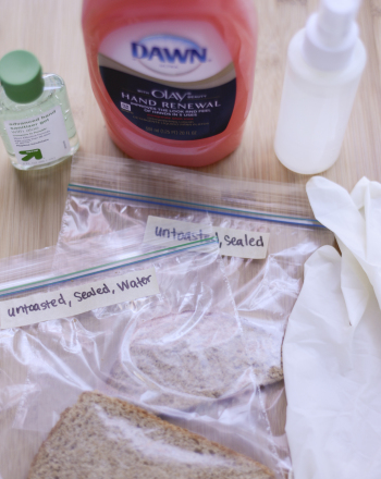 Do Hand Soaps and Sanitizers Prevent the Growth of Bread Mold?