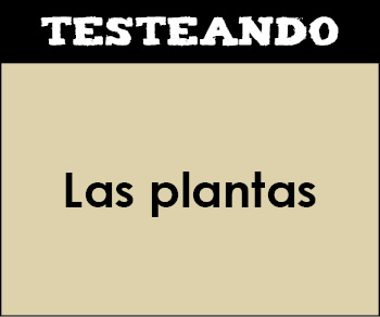Las plantas. 1º Bachillerato - Biología (Testeando)
