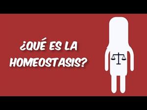 ¿Qué es la Homeostasis?
