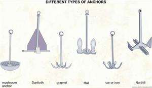 Different types of anchors  (Visual Dictionary)