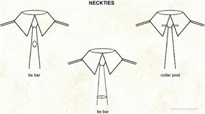 Necktie  (Visual Dictionary)