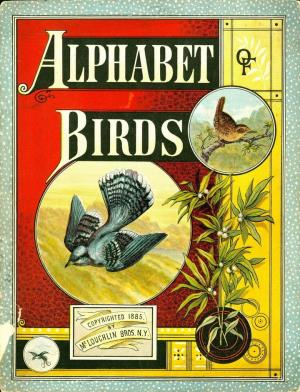 Alphabet of birds (International Children's Digital Library)