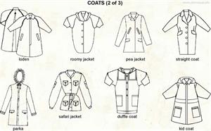 Coats 2  (Visual Dictionary)