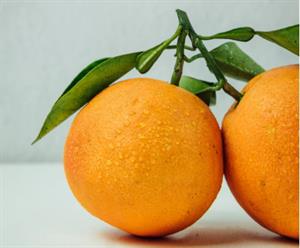 Problema del ladrón de naranjas (Retomates)