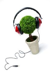 Music and Plants