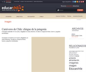 Carnívoros de Chile: chingue de la patagonia (Educarchile)