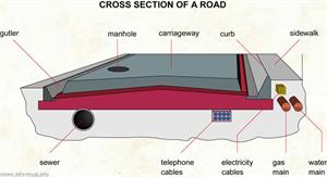 Cross section of a road  (Visual Dictionary)
