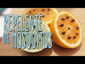 Experimentos Caseros de Química: Repelente para Mosquitos y Zancudos