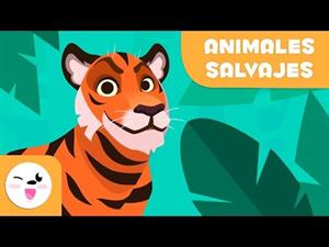 Los animales salvajes para niños - Vocabulario