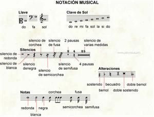 Notación musical (Diccionario visual)