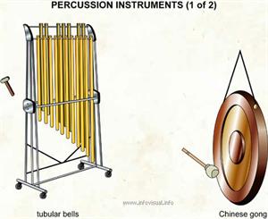 Percussion instruments (1 of 2)  (Visual Dictionary)