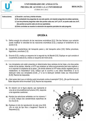 Examen de Selectividad: Biología 1. Andalucía. Convocatoria Junio 2012