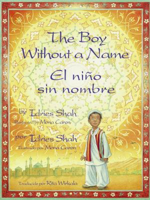The boy without a name (International Children's Digital Library)