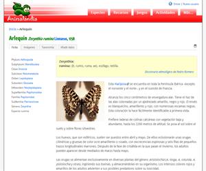 Arlequín (Zerynthia rumina )
