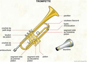 Trompette (Dictionnaire Visuel)