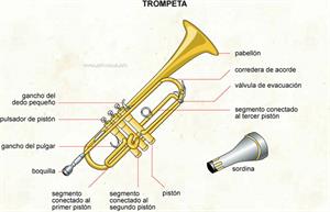 Trompeta (Diccionario visual)